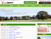 Tablet Screenshot of k-yoshikawa.net